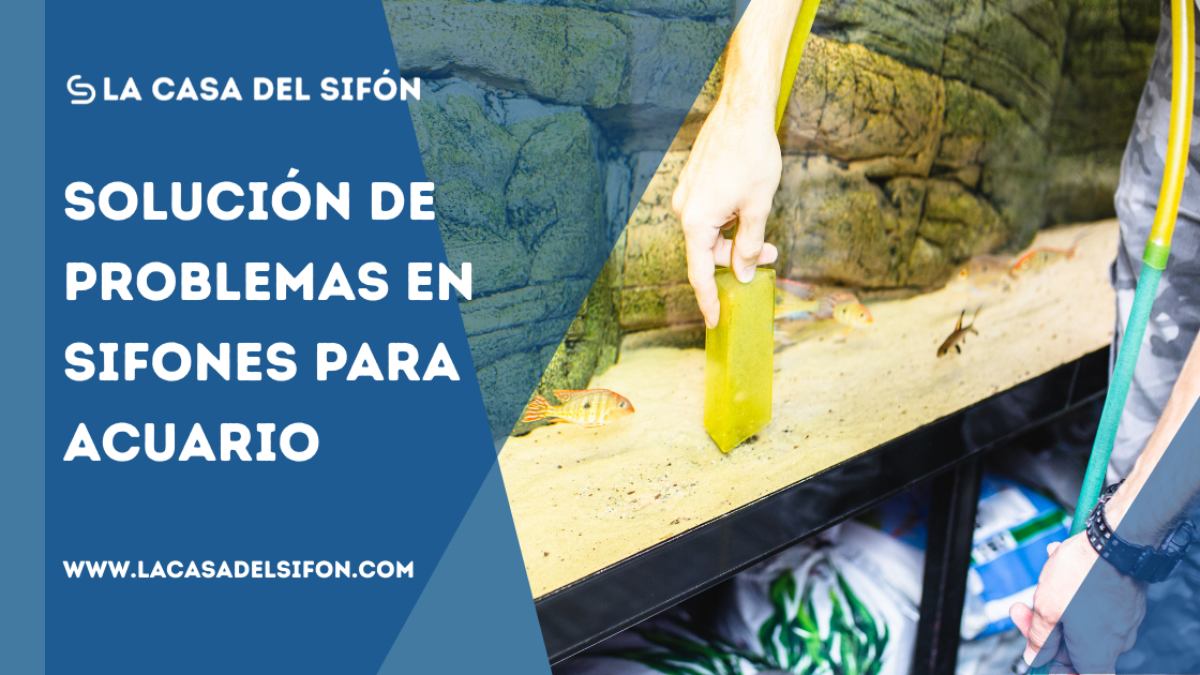Cómo solucionar problemas comunes en sifones de acuario